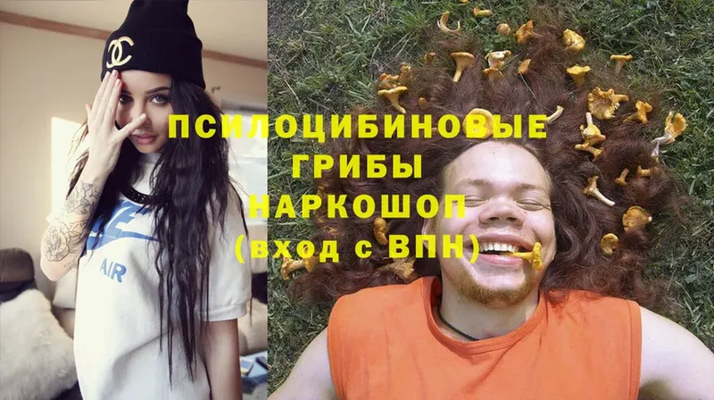 Псилоцибиновые грибы Psilocybine cubensis  купить  цена  hydra ссылка  Западная Двина 